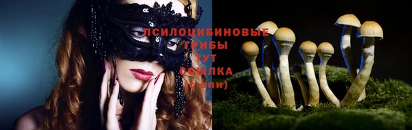 бошки Аркадак