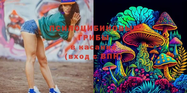 гашик Армянск