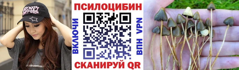 Галлюциногенные грибы прущие грибы  Лысьва 